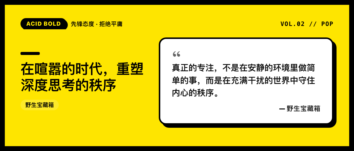 先锋野兽派封面